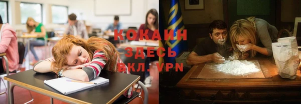 дурь Алексеевка