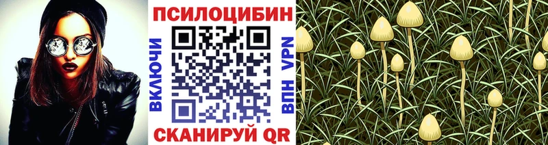 Галлюциногенные грибы ЛСД  hydra ССЫЛКА  Черноголовка 